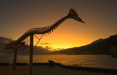 Precioso Apto Caleta Interian Beach By Paramount Holidays - Foto 62