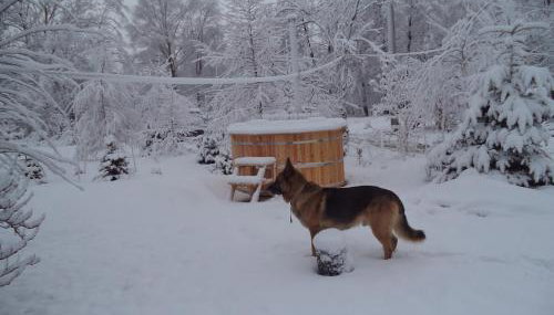 Świerkowe Rancho - Foto 5