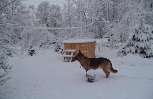 Świerkowe Rancho - Foto 5