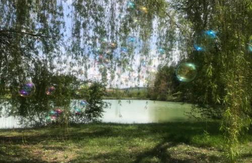 Chalet au milieu de la forêt avec lac à proximité - Foto 20