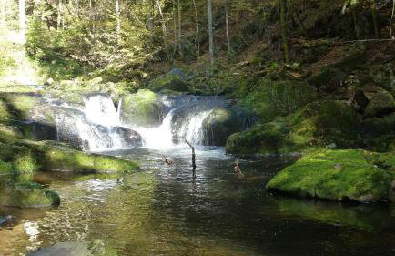 Ferienwohnung Fernblick - Foto 17