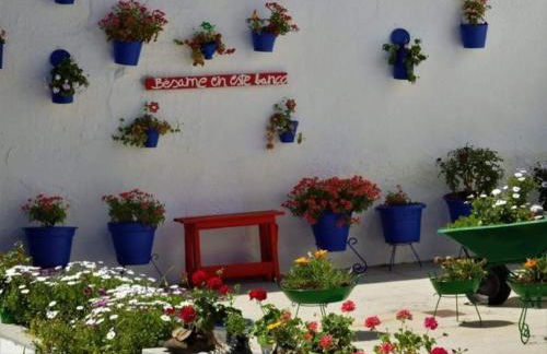 Casa Rural Camino de los molinos y su establo - Photo 26