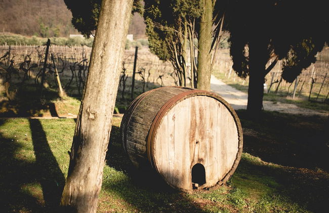 Massimago Wine Relais - Foto 67