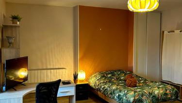 Charmant studio de 50 m2 - Foto 2