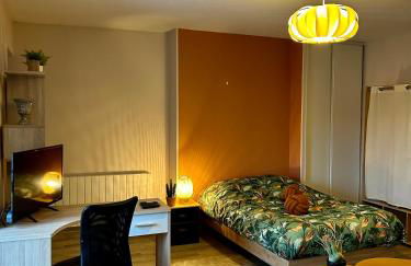 Charmant studio de 50 m2 - Foto 2