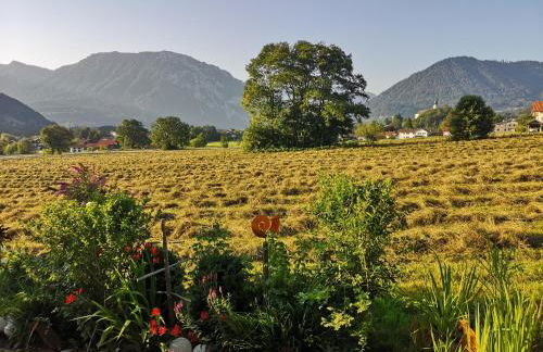 Ferienwohnung Hörndlwand Ruhpolding - Foto 59