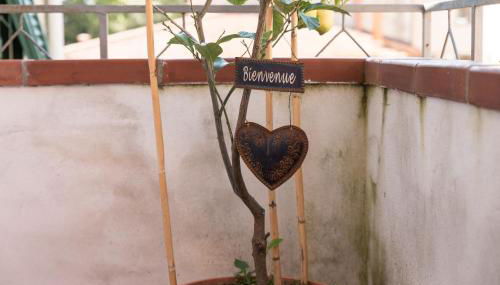 Accasamia Terricciola - Foto 4, Garden view