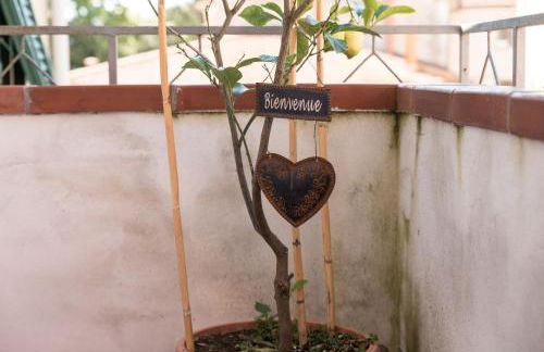 Accasamia Terricciola - Foto 4