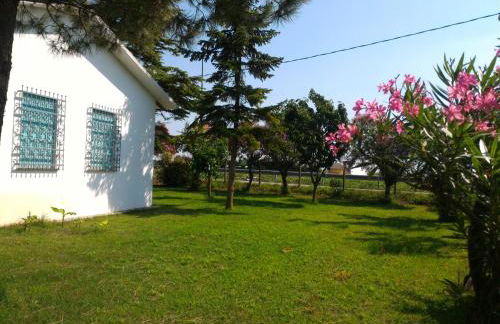 Bungalow bei Emma - Foto 11