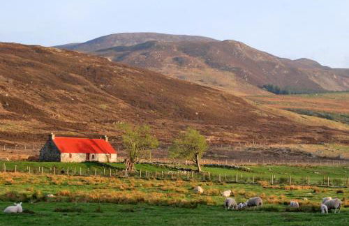 The Bridge Suite - Photo 27