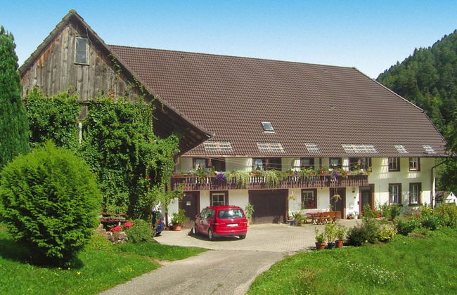 Holiday Home in Hornberg Near Triberg Falls - Foto 14