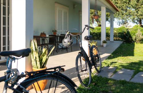Na Quinta- alojamento rural com piscina de água salgada - Foto 14