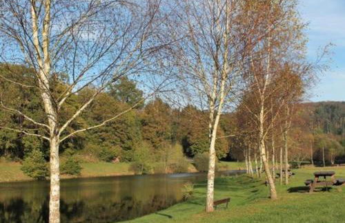 Premium Apartment in Saint-quirin With Garden - Foto 66