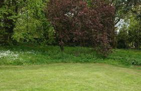 Salty Smiles Cottage - Foto 16