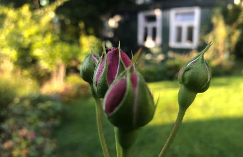 Ferienwohnung Rhöner Luft - Foto 16