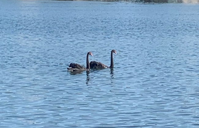 Apartment, Stylish 2 bed Riverside House, 2 Kingsize beds, Free Parking - Foto 50