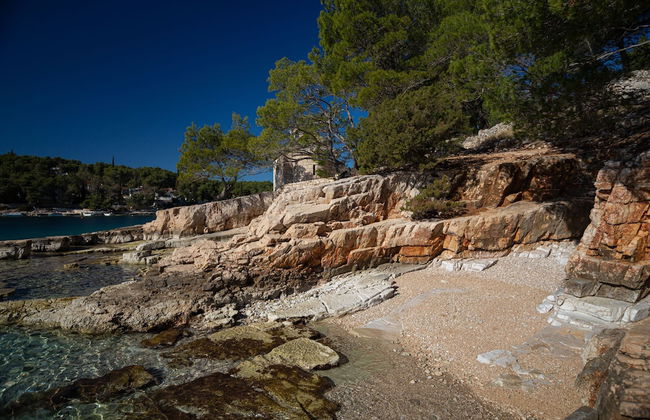 Olive Eden - Foto 33