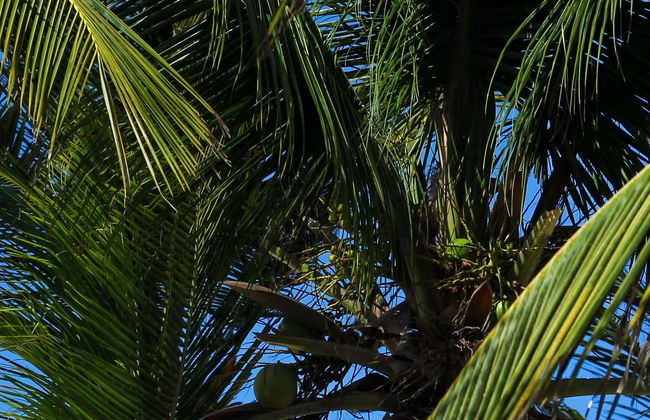 Traslado a Atins en lancha rápida - Foto 7