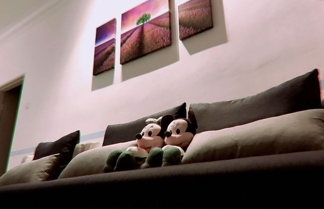 Cameron Highlands Family Homestay - Foto 16