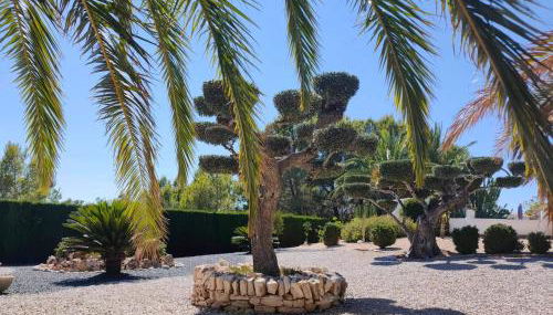 La Villa Romantica Résidence de vacances Les Tres Cales Espagne - Foto 5, Garden