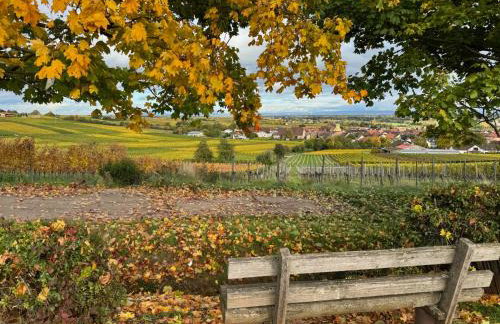 Die "Alte Schmelz"- Boutique-Landhotel & Restaurant - Foto 62
