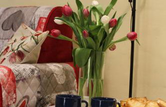 i tulipani - Foto 78