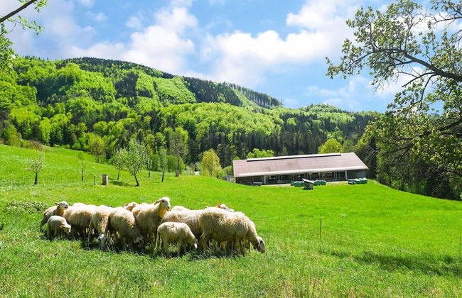 Loft-like Apartment With Swimming Pond - Photo 27