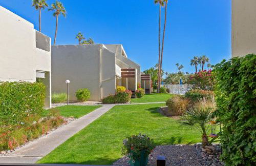 Smoketree Original - Foto 2