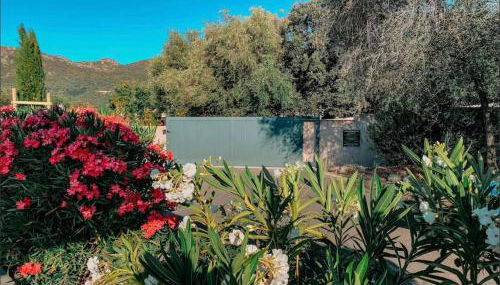 CASA GIABICONI - Villa 6pers. piscine & spa - Foto 4, Garden