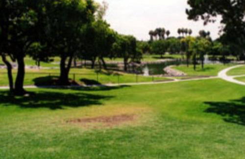 Beautiful Spacious 2 Bedroom, 2 Bathroom Condo - Foto 31