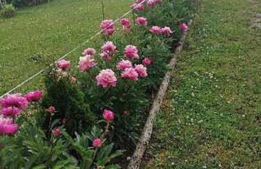 Gospodarstwo agroturystyczne - Foto 74