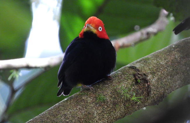 Esquipulas Rainforest - Foto 47