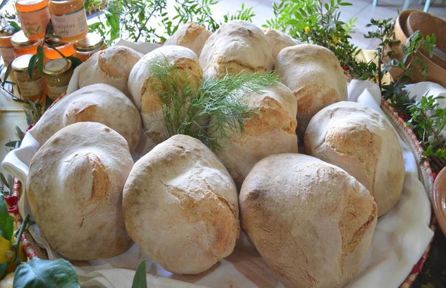 Agriturismo Agrifoglio - Foto 36