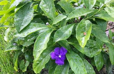 Charming Villa in Resende with Private Pool - Foto 42