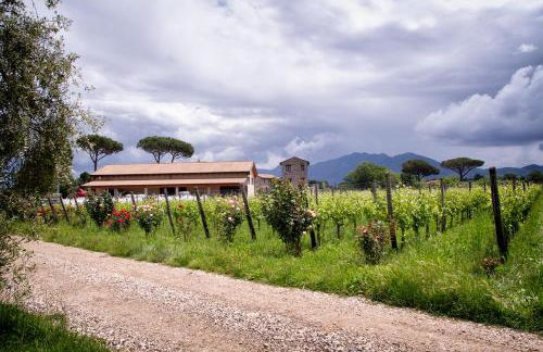 i Cacciagalli Wine Resort - Foto 21