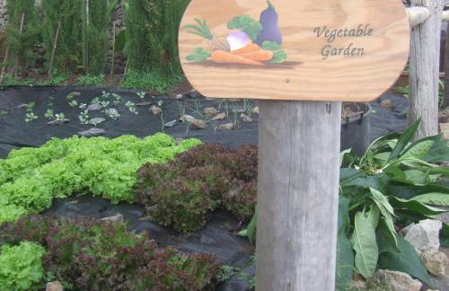 Dazkarizeh73 - Photo 66