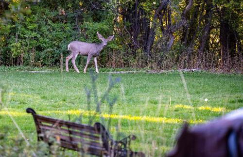 Hobbs Mill Ski Lodge Theater Games Dogs OK - Photo 79