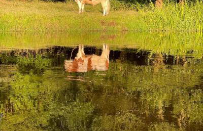 Willa Boho Cudo - Foto 33