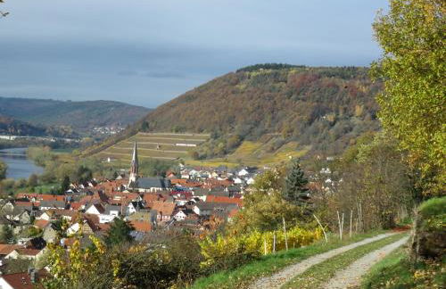 Ferienwohnungen Haus Albert - Foto 39