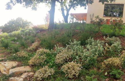 Agriturismo Sugheretello - Foto 45