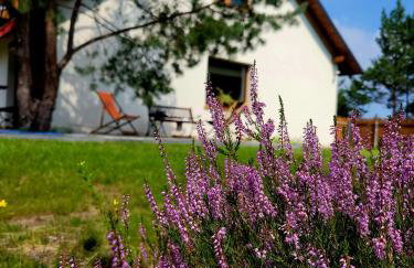 Borsk Sielanka - Foto 1