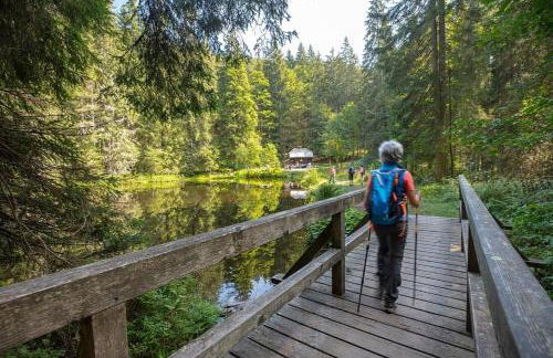 Ferienhaus Nr 20, Typ B, Feriendorf Jägerpark, Bayerischer Wald - Foto 22