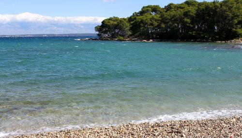 Apartments with parking space Ugljan - 15613 - Foto 4