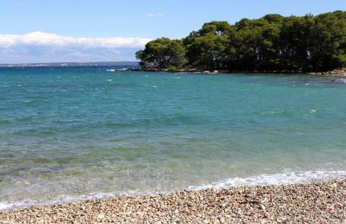 Apartments with parking space Ugljan - 8527 - Foto 6