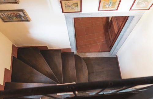 Domus Bononiae - Foto 4