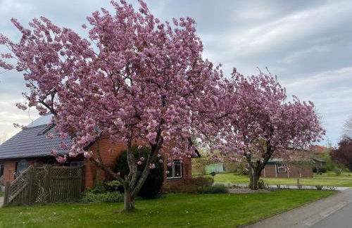 Ferienwohnung in Breiholz zwischen den Meeren, am Nordostseekanal - Foto 31
