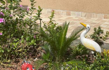 Tiny house AR, Wi-Fi, TV cozinha, proximo a Unig - Foto 9