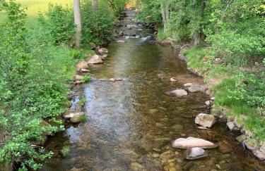 Bezauberndes Gästehaus im Grünen mit Terrasse - Foto 19