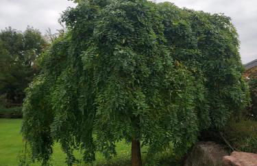 Agriturismo Coi de Pera - Foto 24