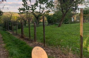 Appartement sur la route touristique du champagne - Foto 21